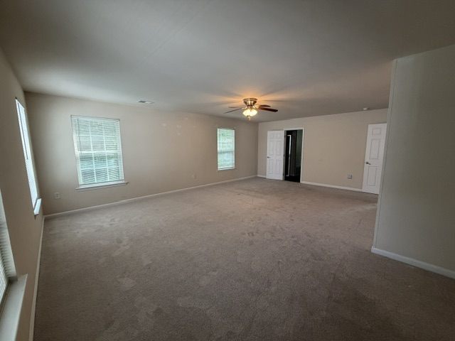 Gallery Photo 18